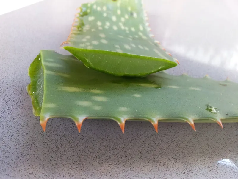 Two freshly cut pieces of aloe vera leaf on a grey speckled worktop, showing the clear green gel inside and the small orange-tipped spines along the edges