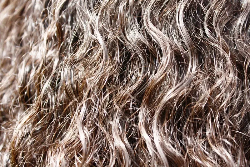 Macro close-up of glossy brown curly hair, the strands forming tight S-shaped spirals with silvery highlights